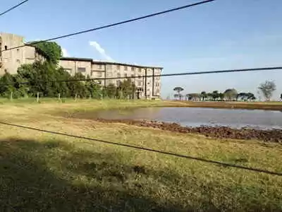 Photo of 'Watching wild life 