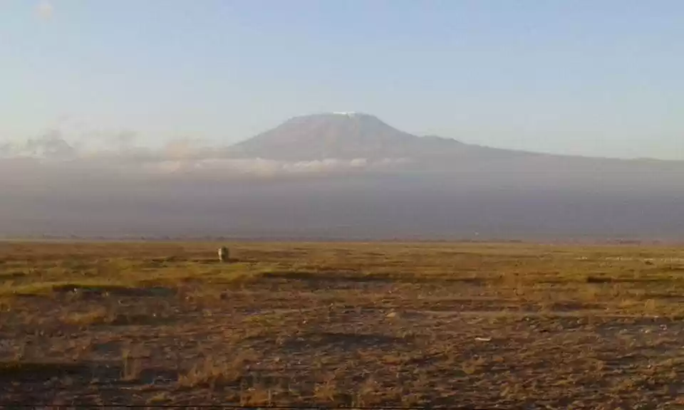 Photo of Amboselli- a plethor