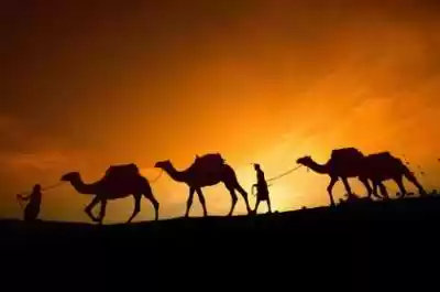 Photo of An evening in the de
