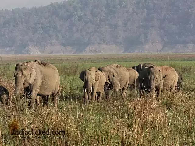 Photo of A Photographer's Tra