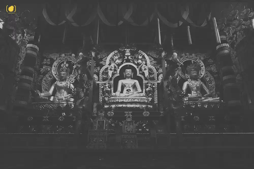 Photo of Drenched Coorg and D