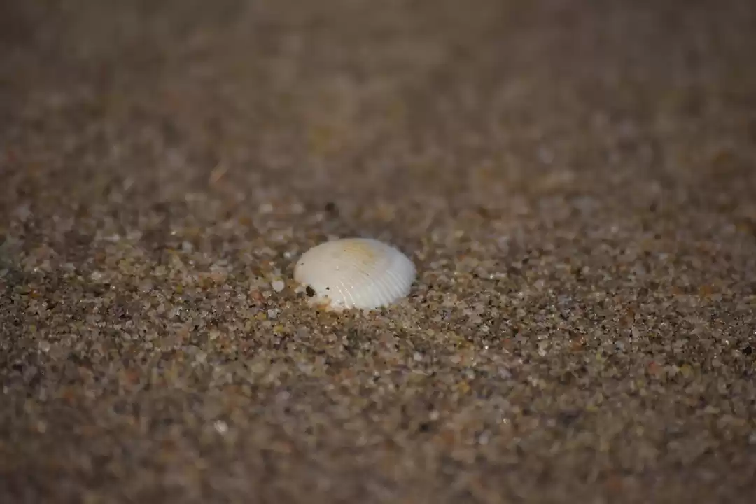 Photo of Kissa Solotrip Ka: 