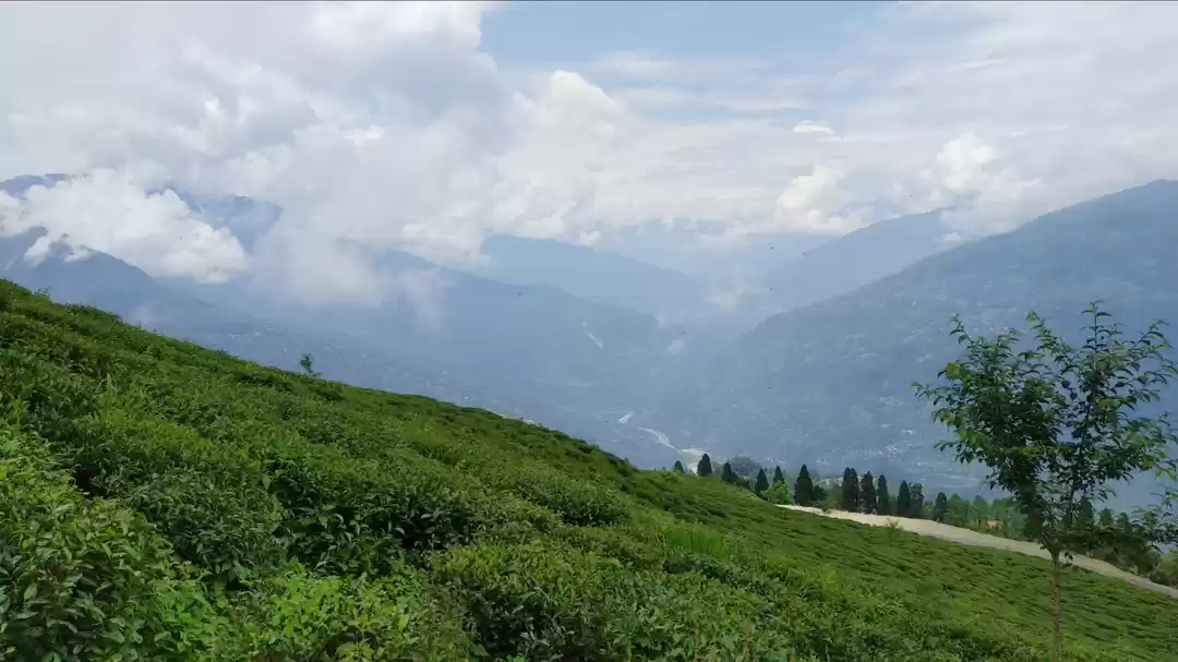 Photo of Exploring the beauty