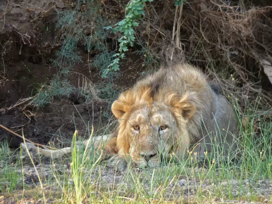 Photo of Unique Experience Wi