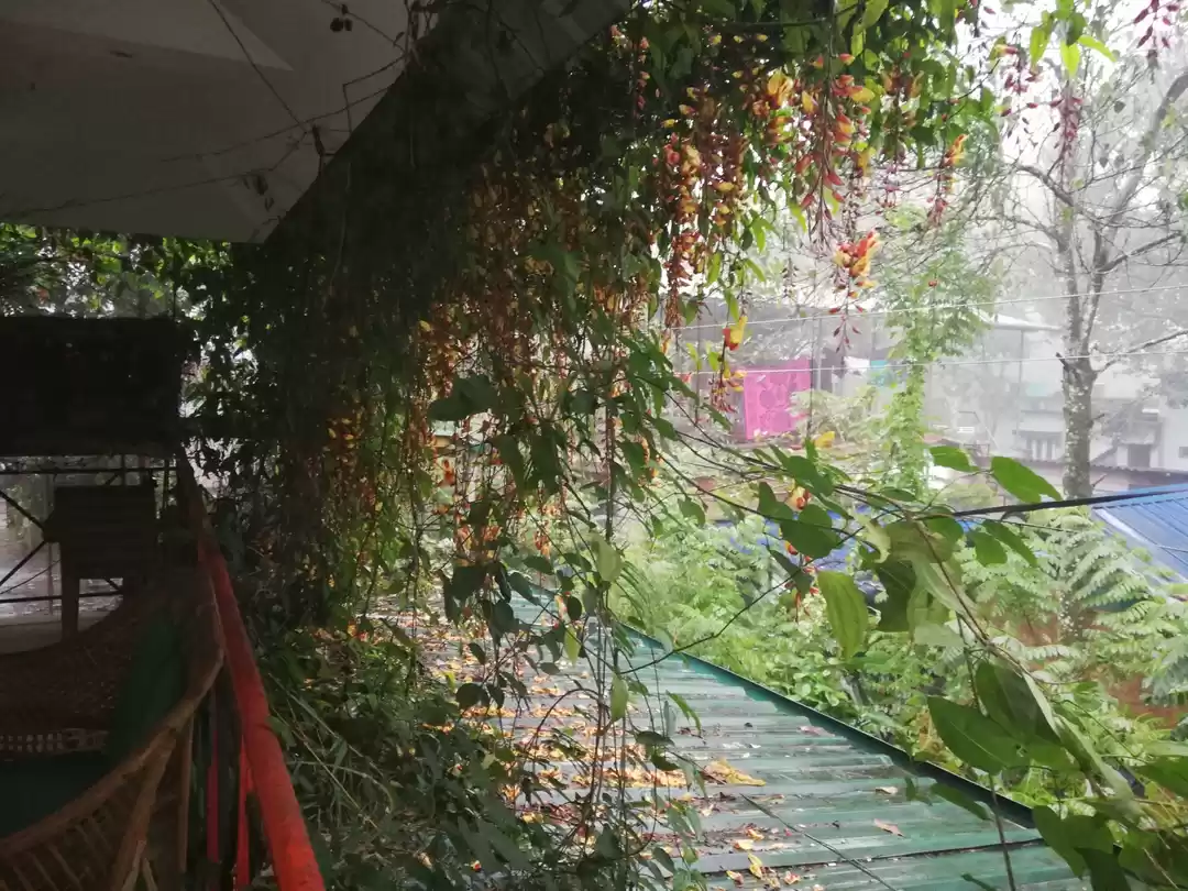 Photo of Exploring Thekkady :