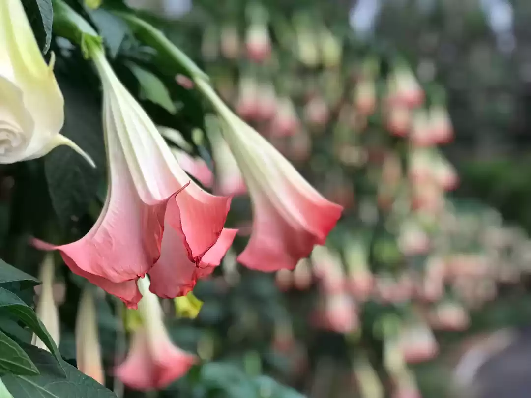 Photo of Weekend in the lap o