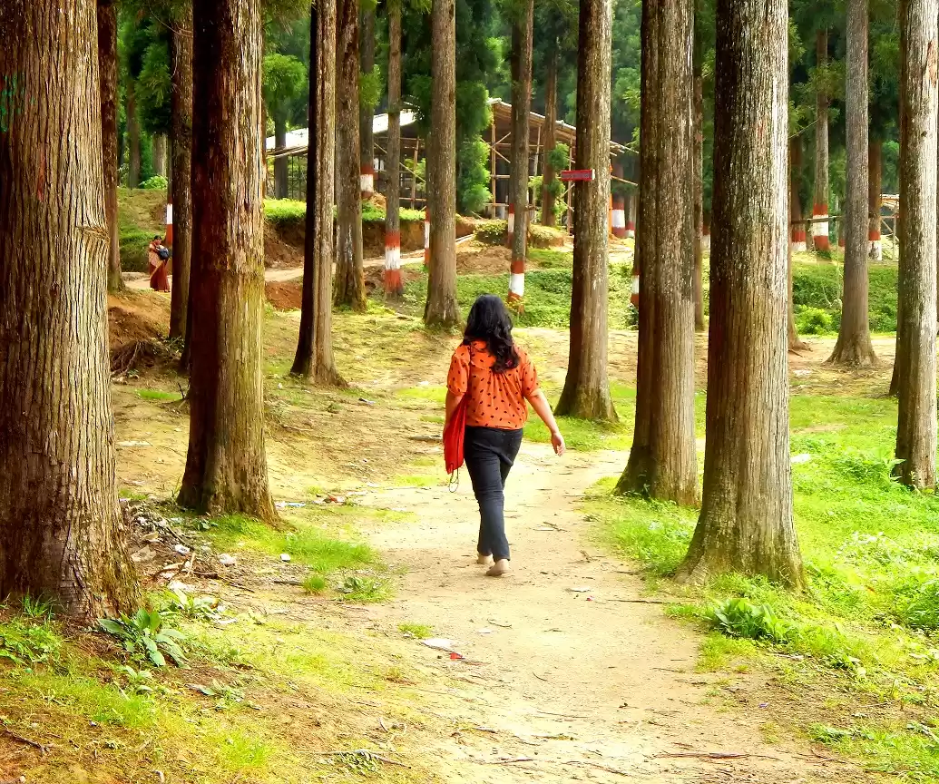 Photo of Darjeeling – 10 thin