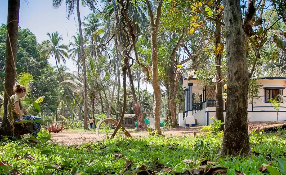 Photo of North Goa Detour - G