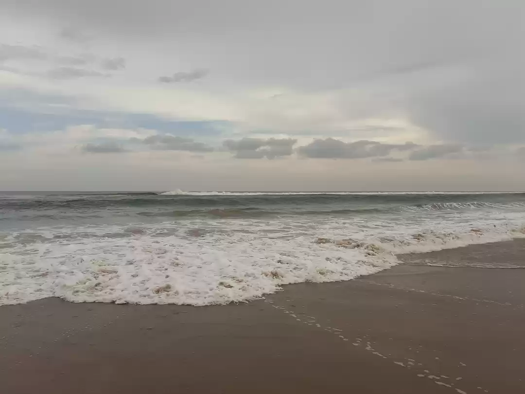 Photo of Afternoon at the bea