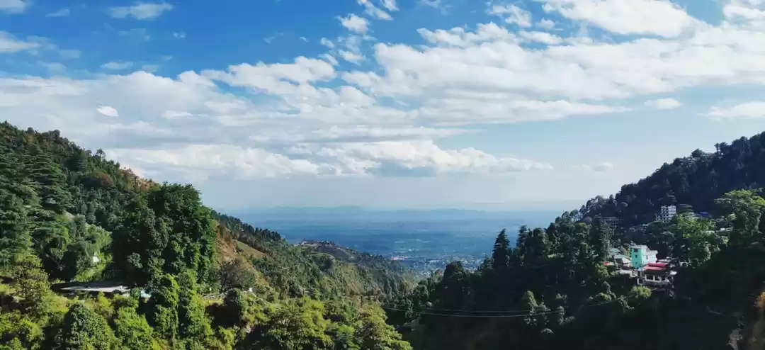 Photo of Delhi to Triund: Cau