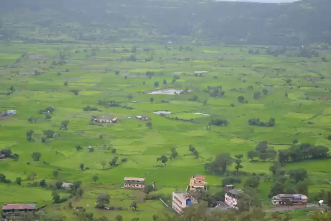 Photo of Checking out Buddhis