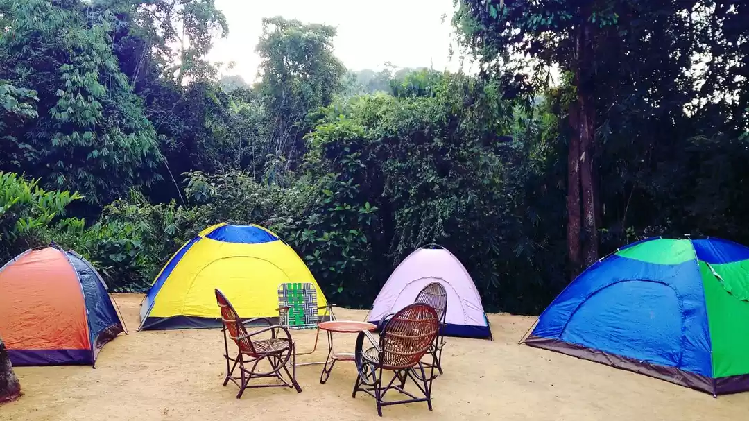 Photo of Campsite near forest