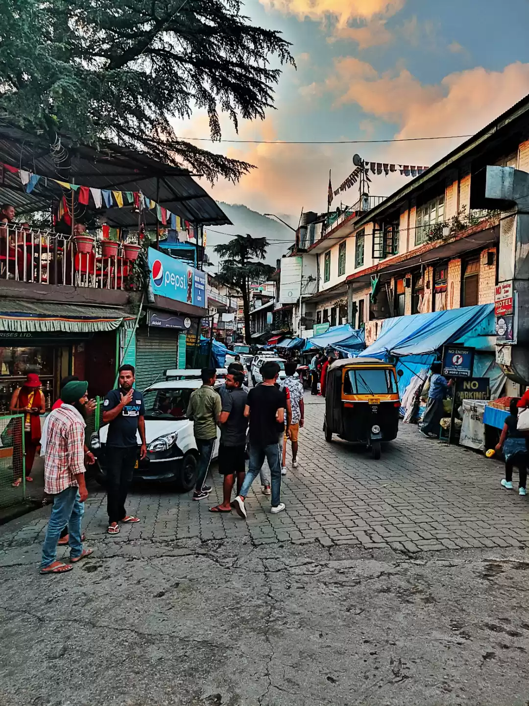 Photo of Enchanting Mcleodgan