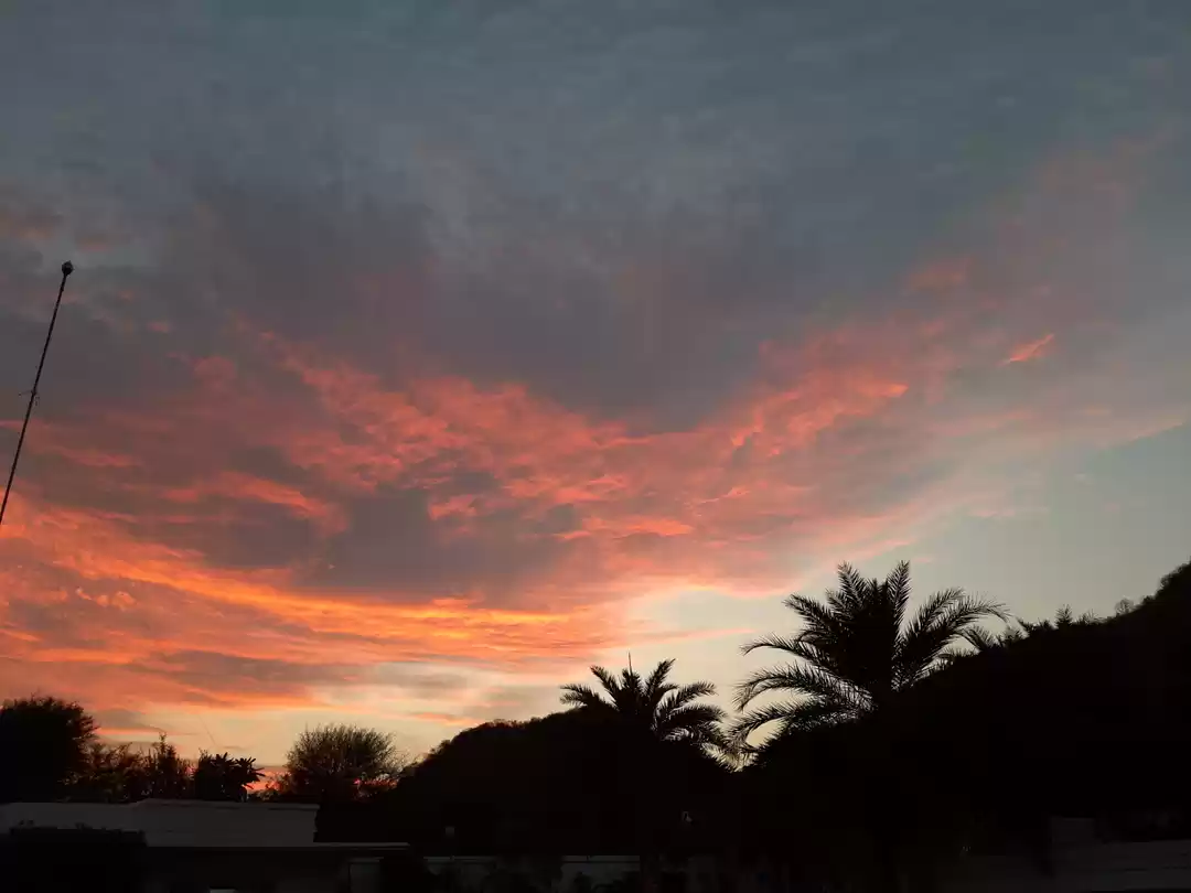 Photo of "Orange flavour"