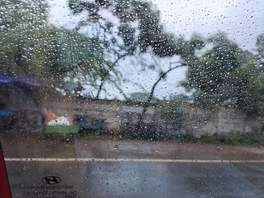Photo of Every window photo t