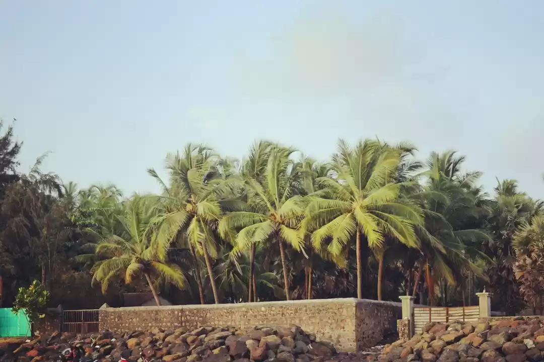 Photo of How to escape the Su