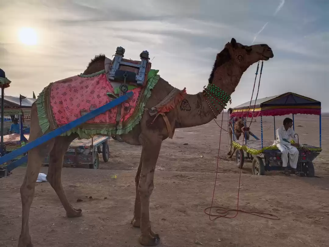 Photo of Kutch & Bhuj #TheFir