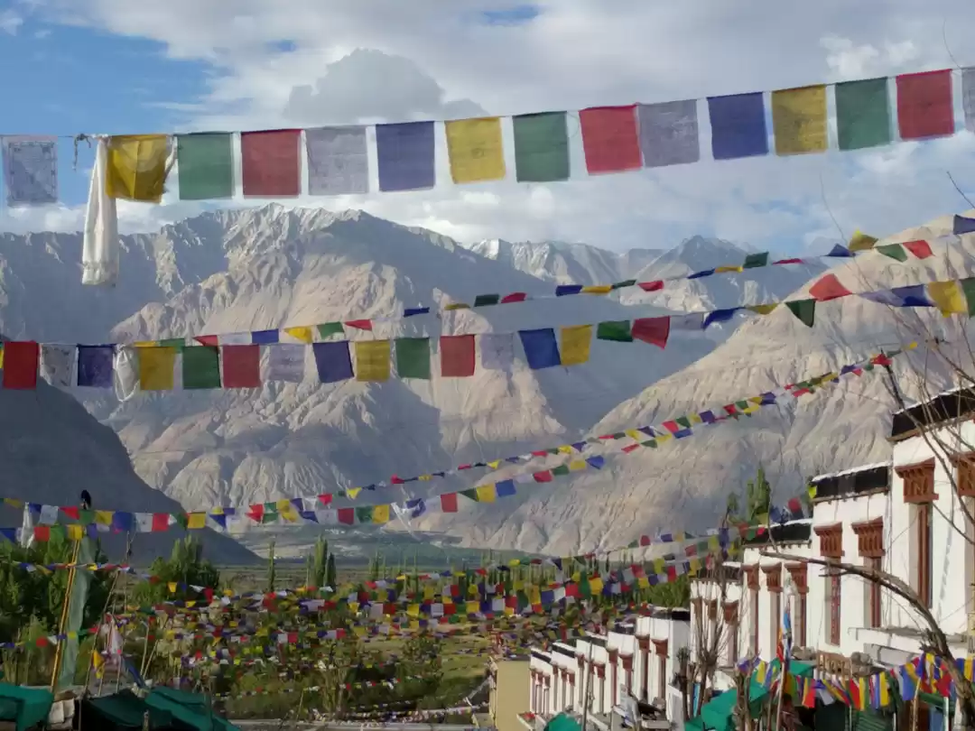 Photo of Fluttering Blessings