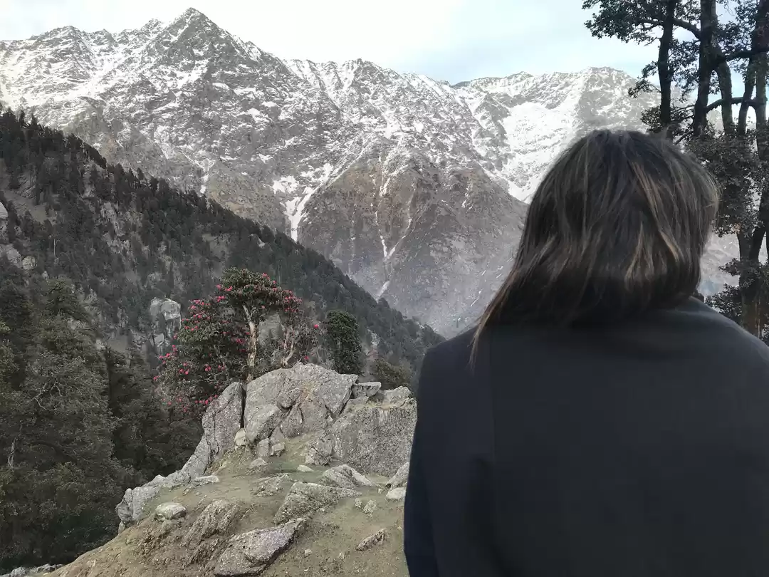Photo of A beginner's Guide t