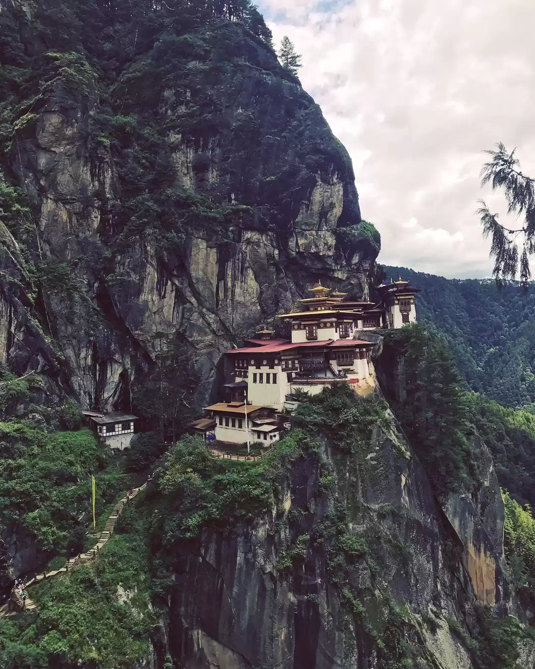 Photo of The complete Guide t