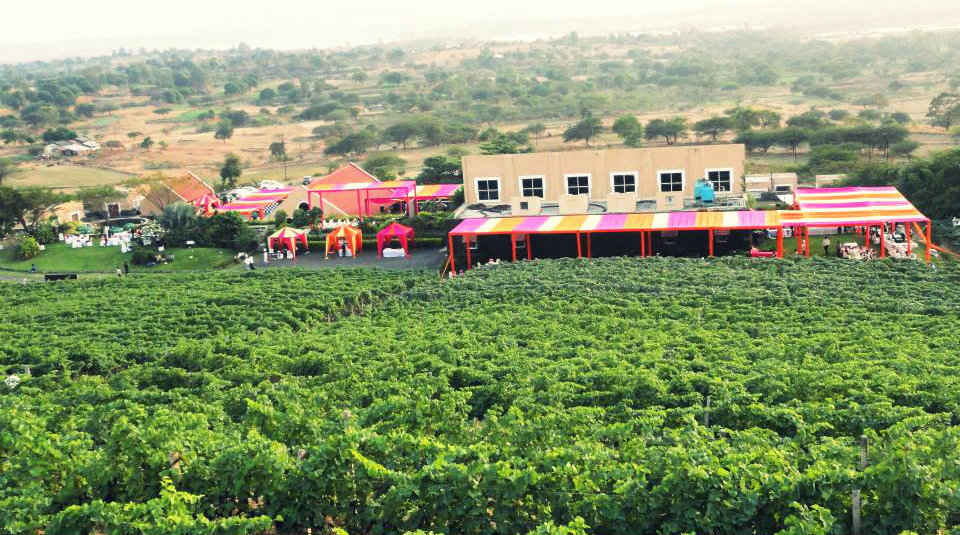 Vineyards Are Now New Weekend Gateway In India Tripoto Karshima took us around the stages of wine making. vineyards are now new weekend gateway