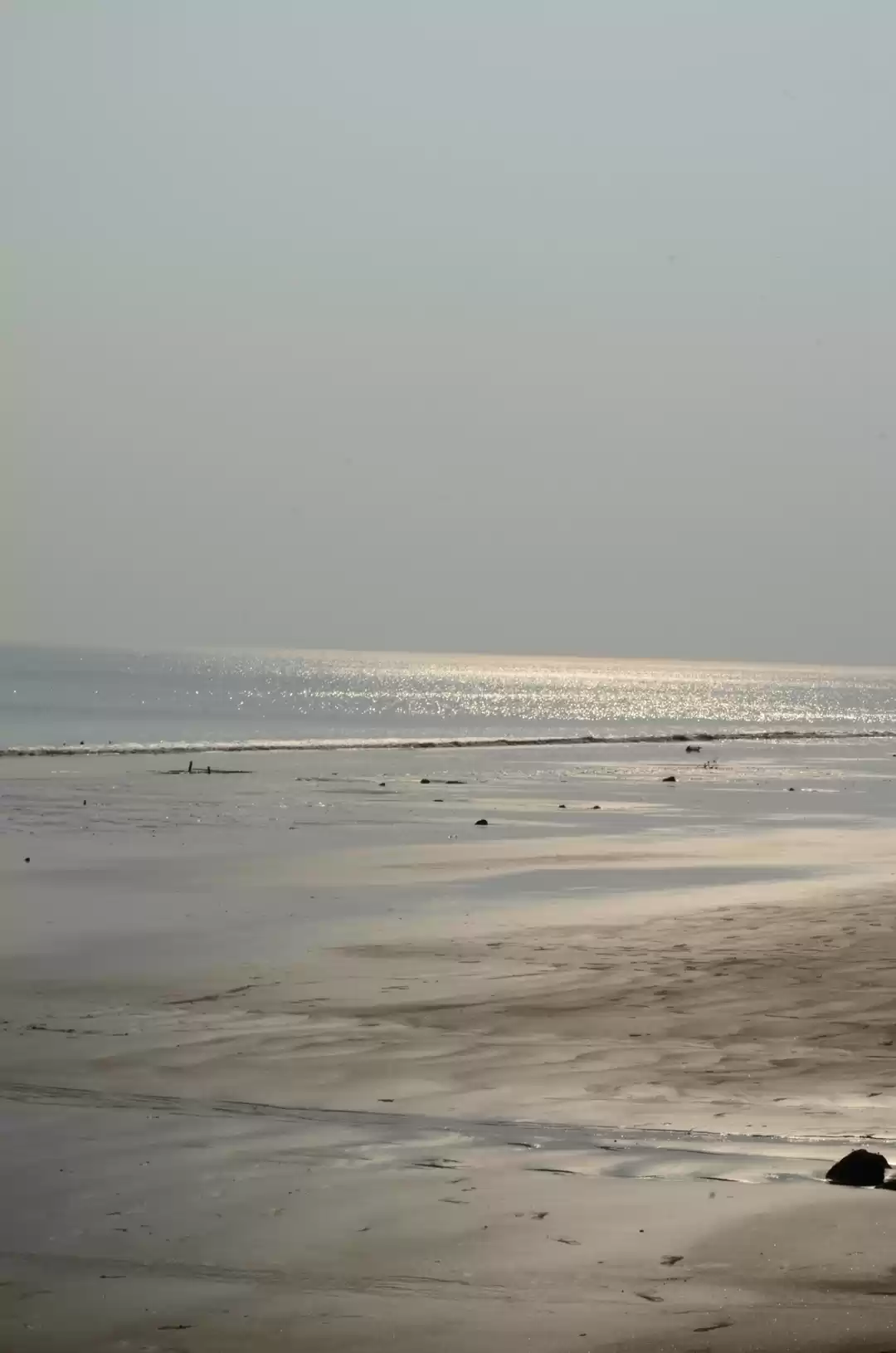 Photo of Shankarpur Beach, We