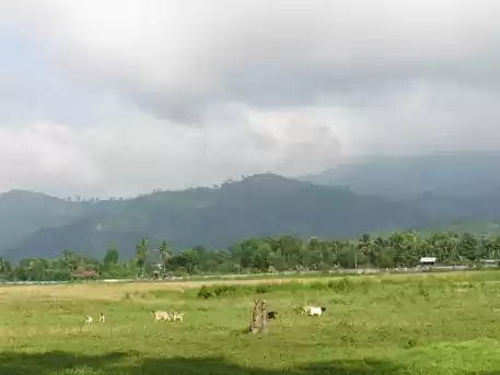 Photo of Dharan - A Road Less