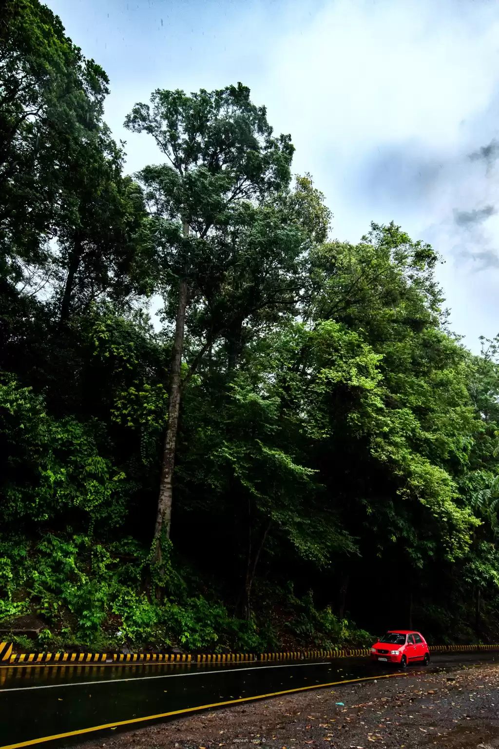 Photo of Trip To Wayanad !