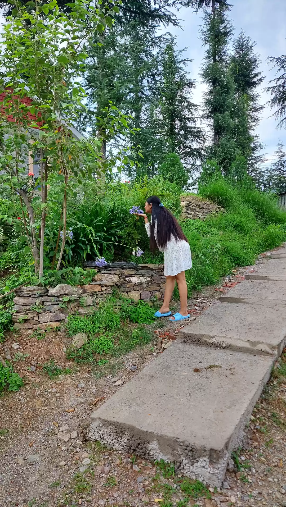 Photo of MASHOBRA...The Heave