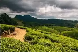 Photo of Misty Lonavala