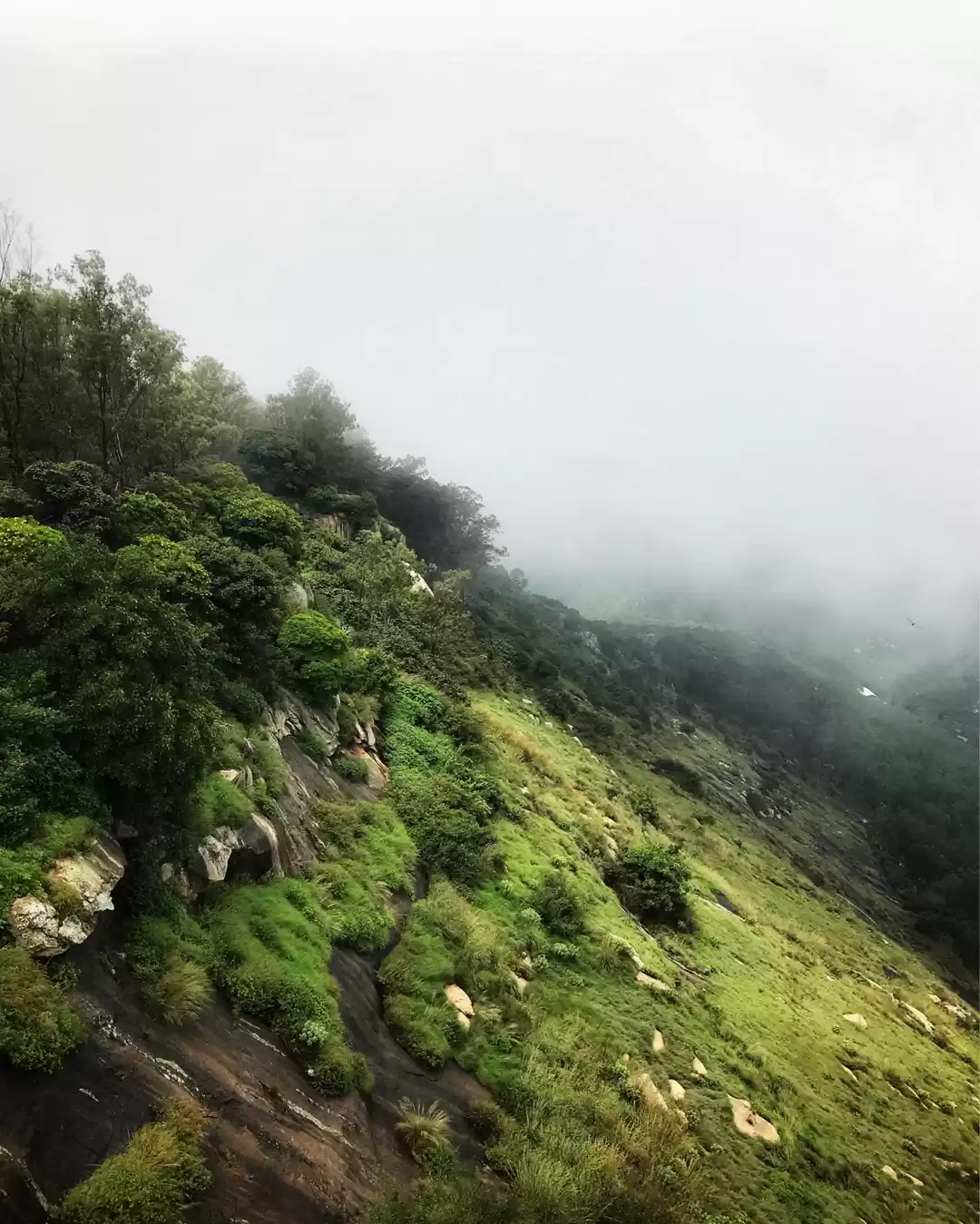 Photo of A Day in Nandi Hills