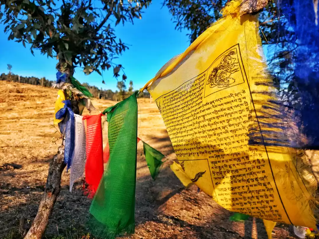 Photo of Tips to Travel Himac