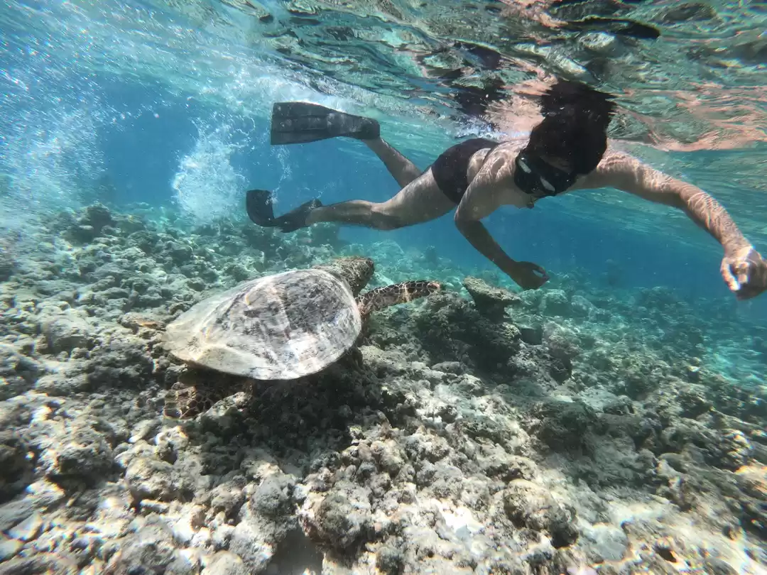 Photo of Maldives, male