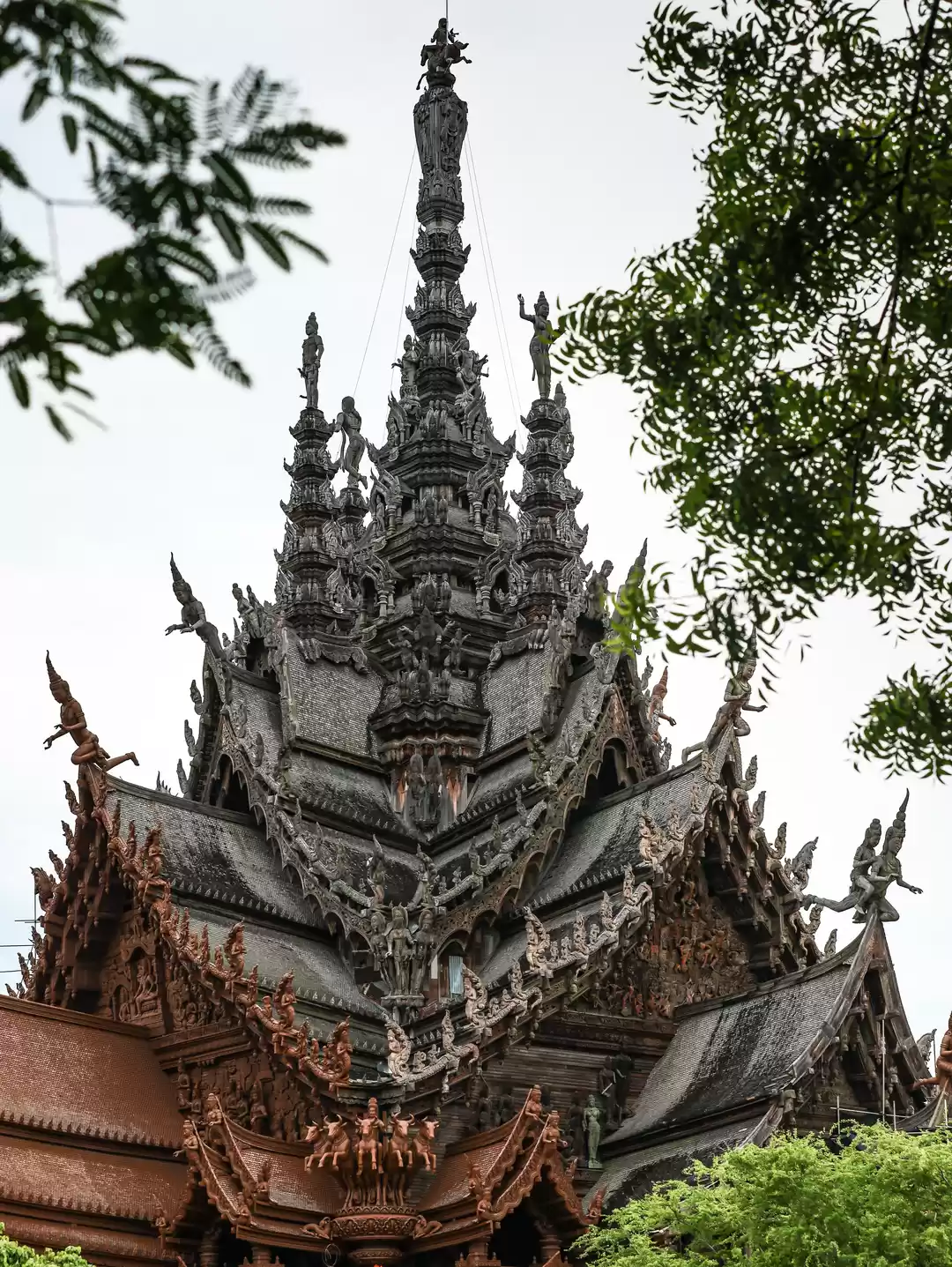 Photo of Thailand in Pictures