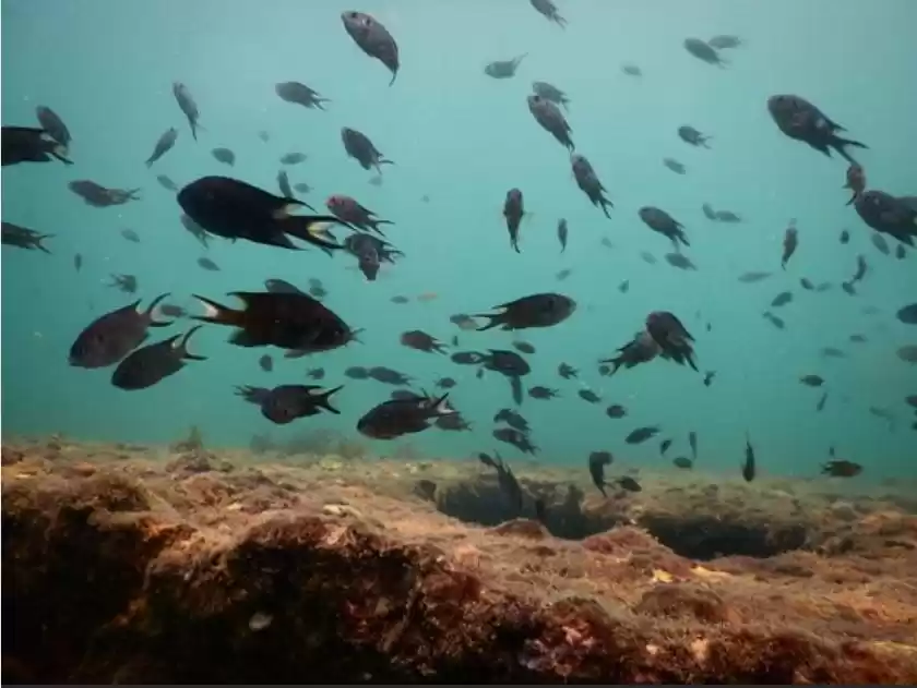 Photo of Beautiful experience