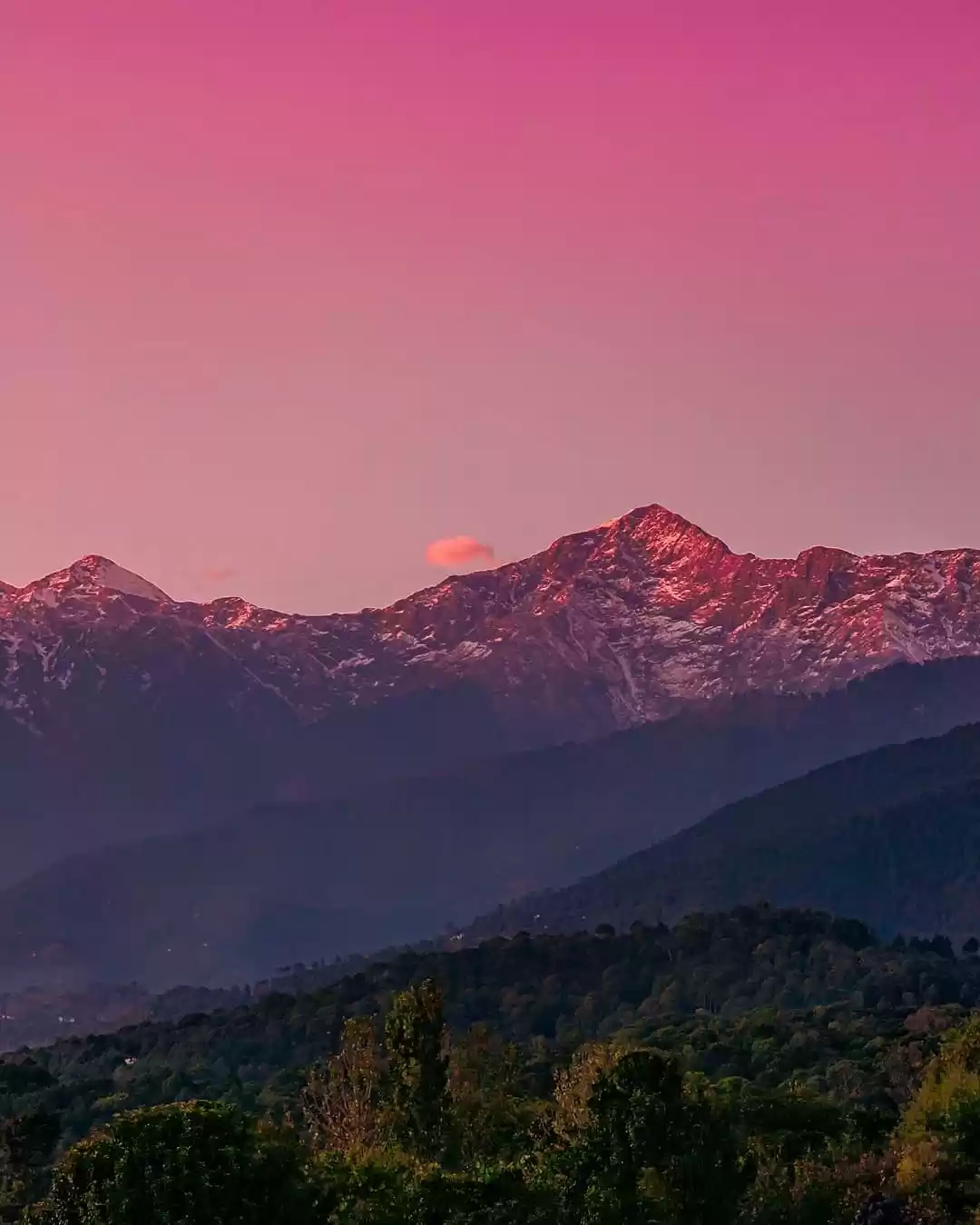 Photo of These Pictures Will 