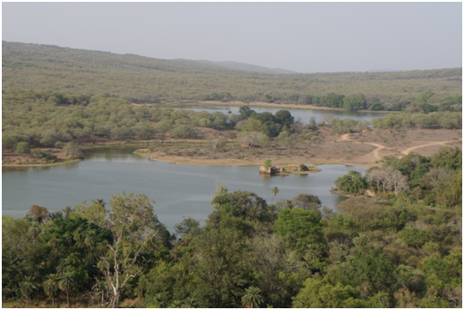 Photo of Ranthambore-followin