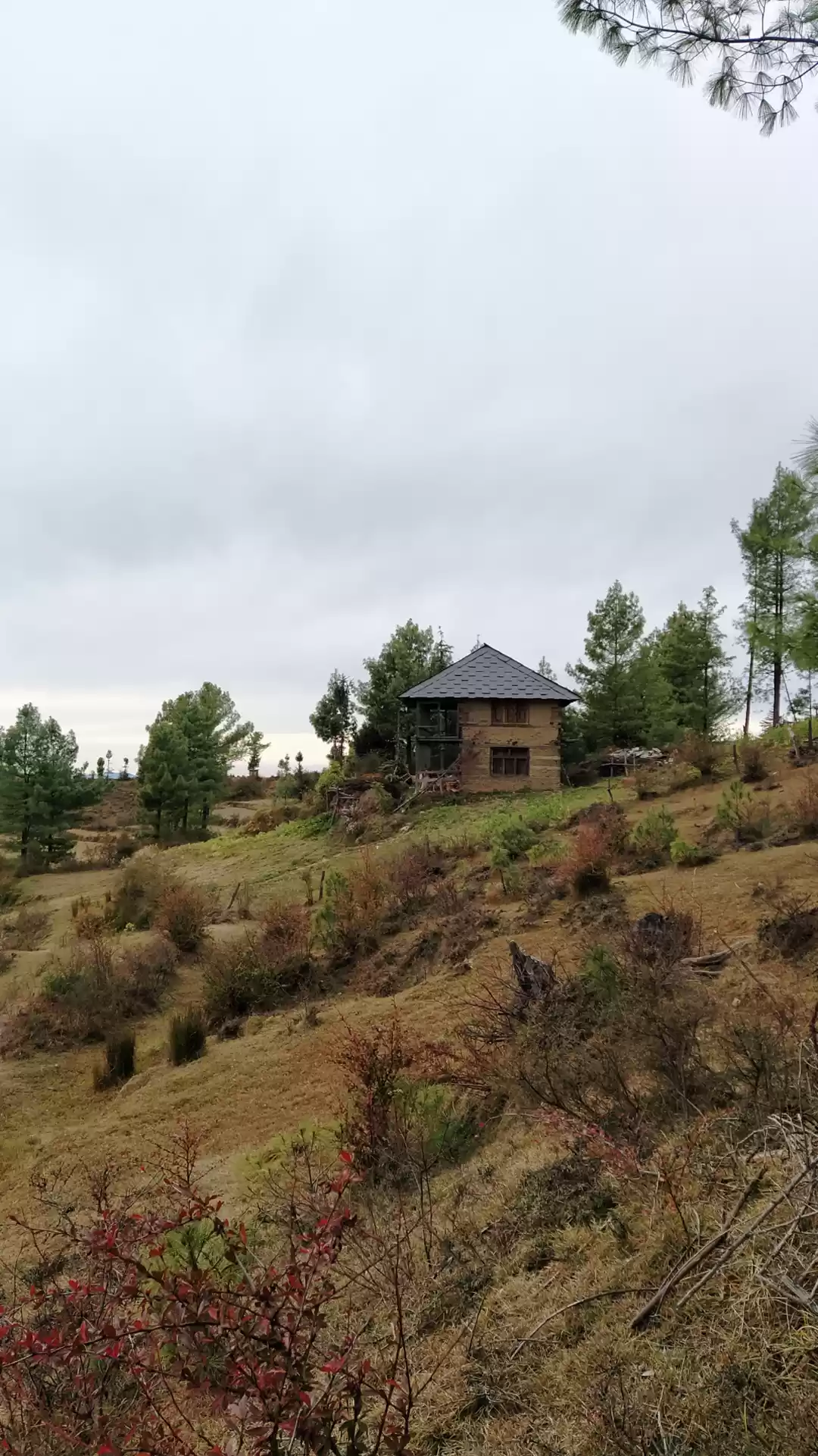 Photo of THACHI | UNEXPLORED