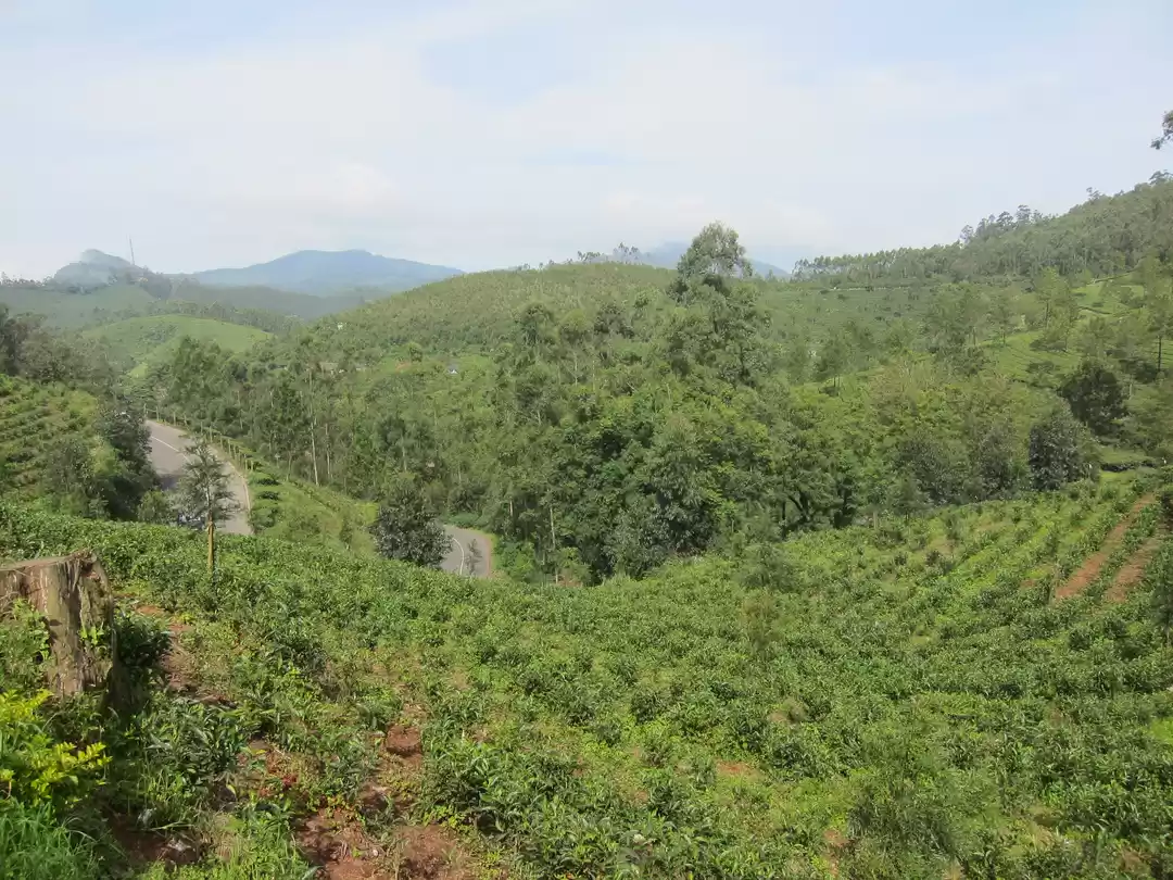 Photo of Kerala Day 2: The In