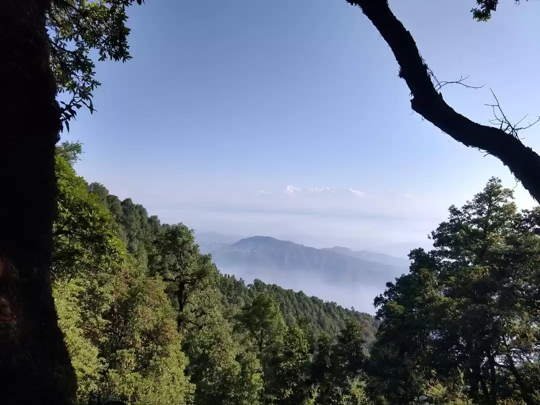 Photo of Binsar: A Trip To Th