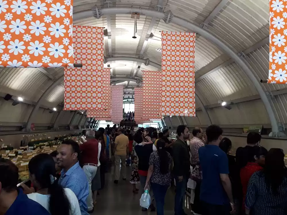 Photo of The Mango Festival i