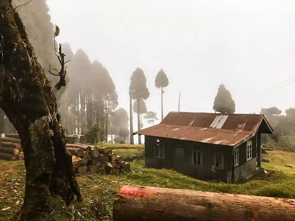 Photo of Dhotrey (A small ham