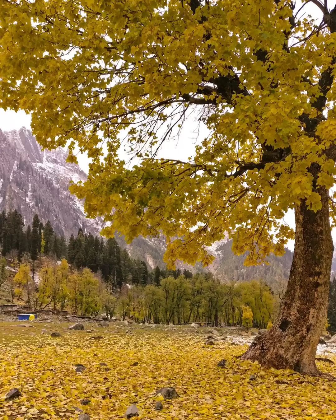 Photo of Kashmir ("Agar firda