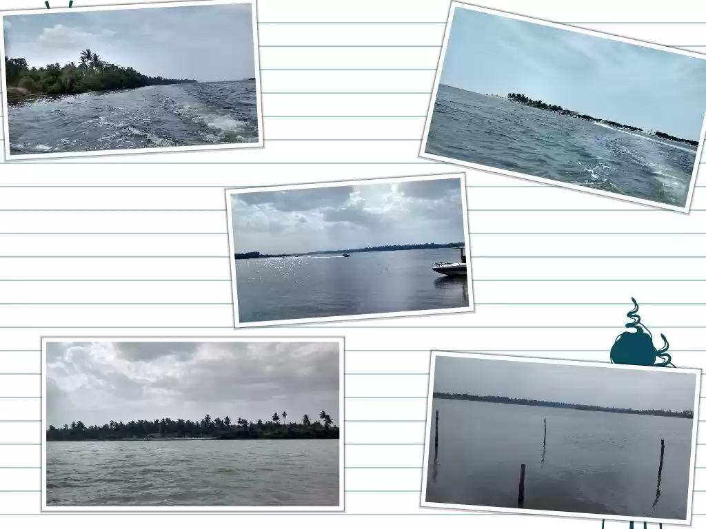 Photo of A wanderer's lust : 