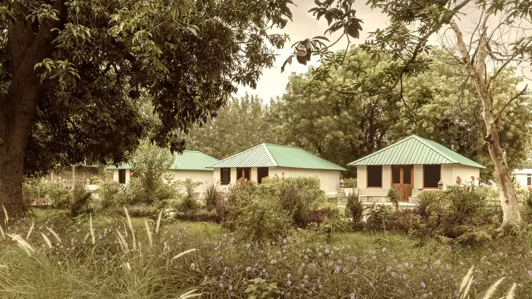 Photo of Into the Wild: Explo