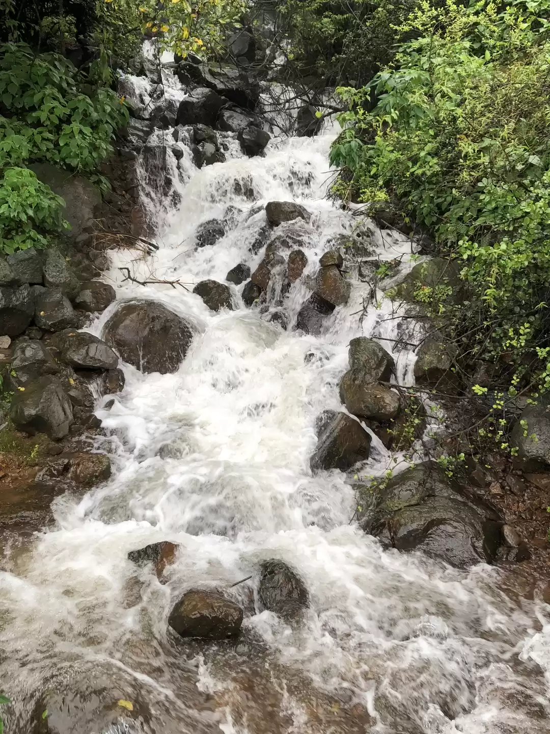 Photo of Magic of Monsoons ar
