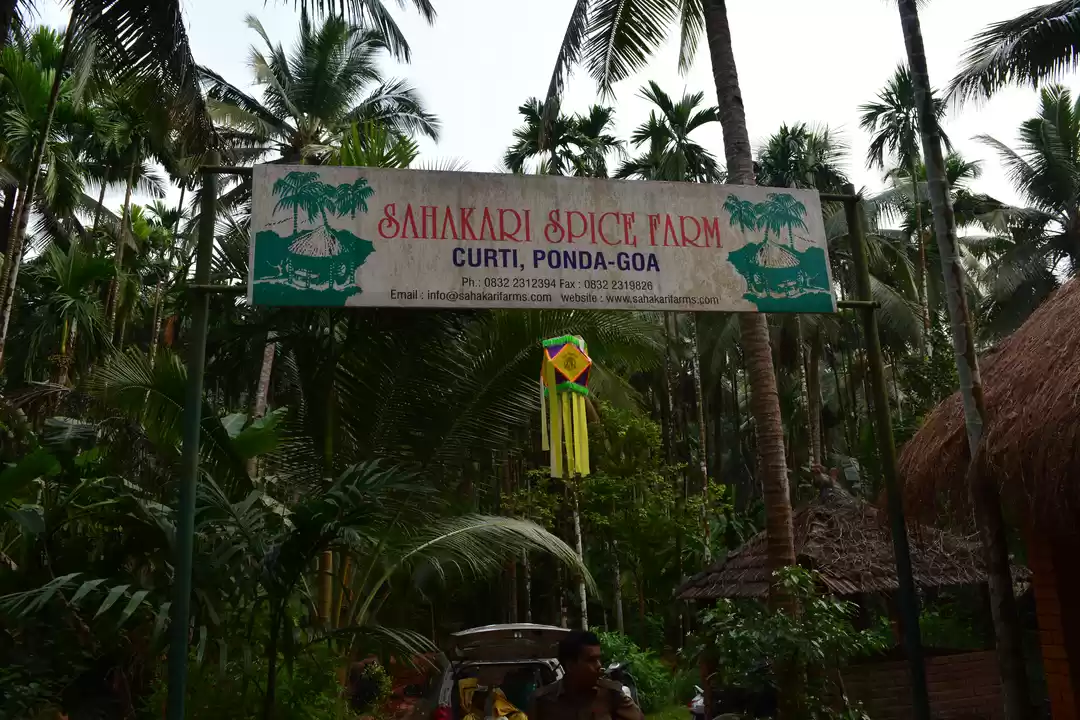 Photo of Spice up your next t