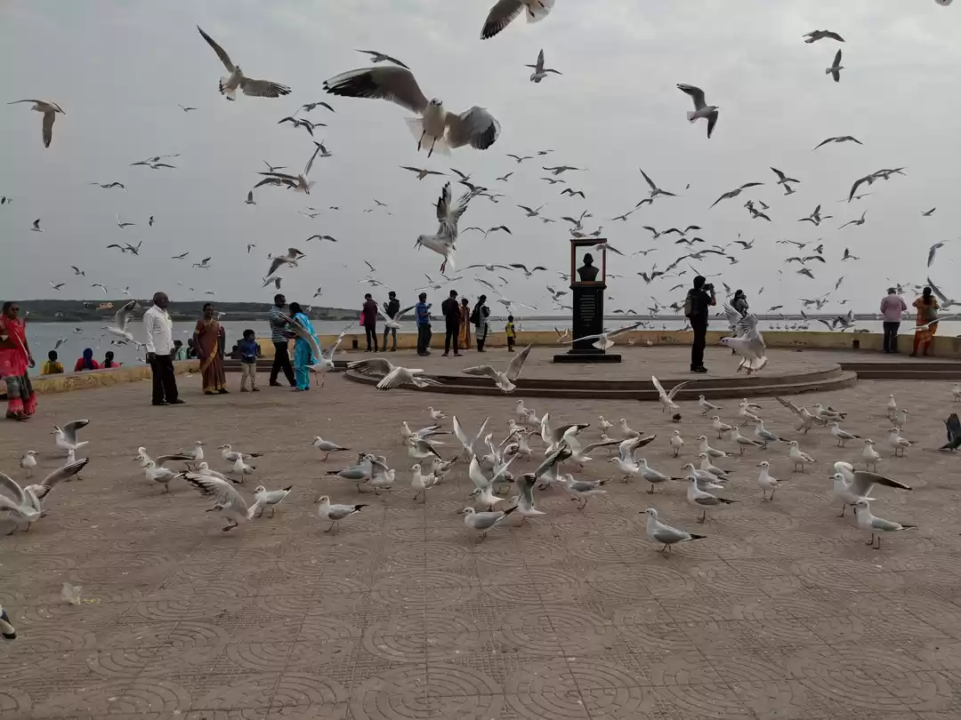 Photo of Half a day at Somnat