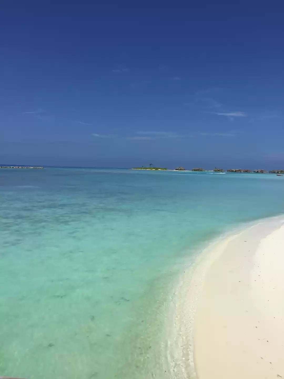 Photo of A Honeymoon in Parad