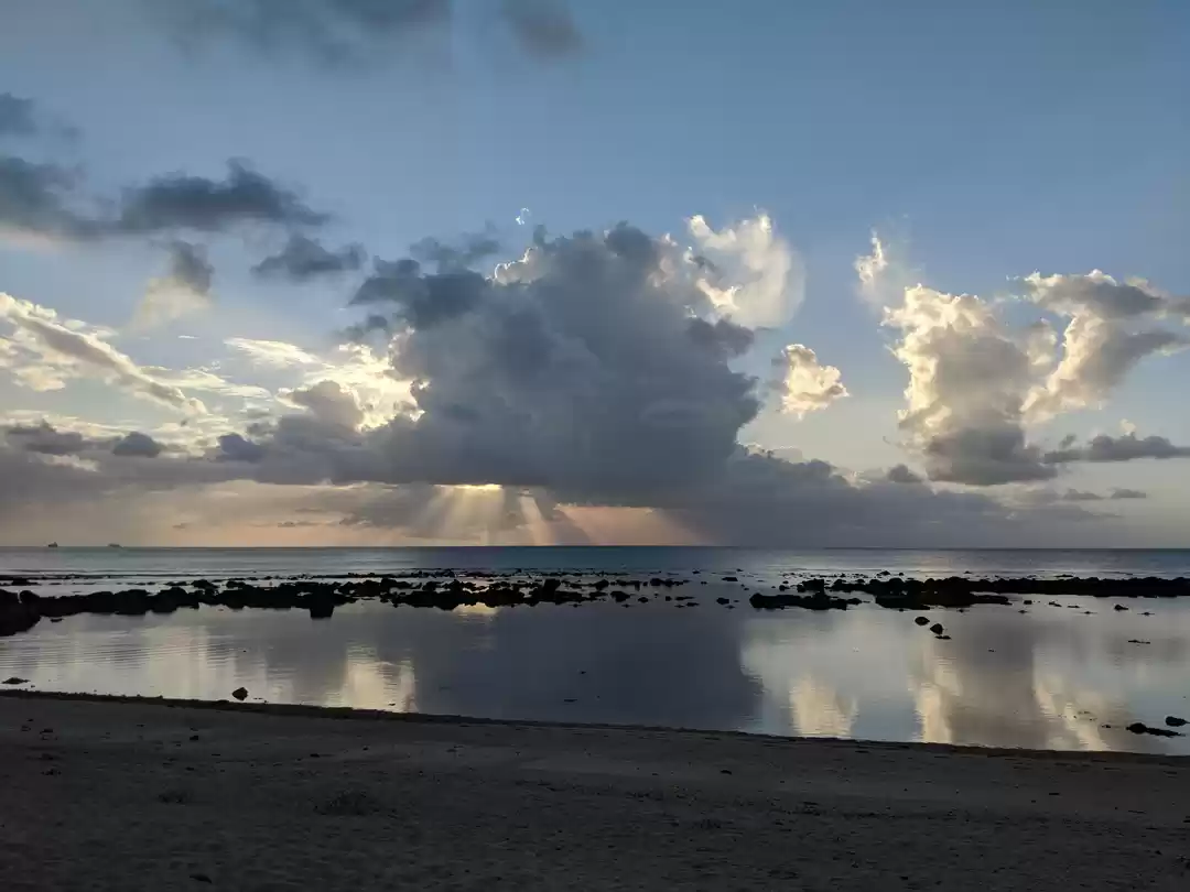 Photo of A dive into a school